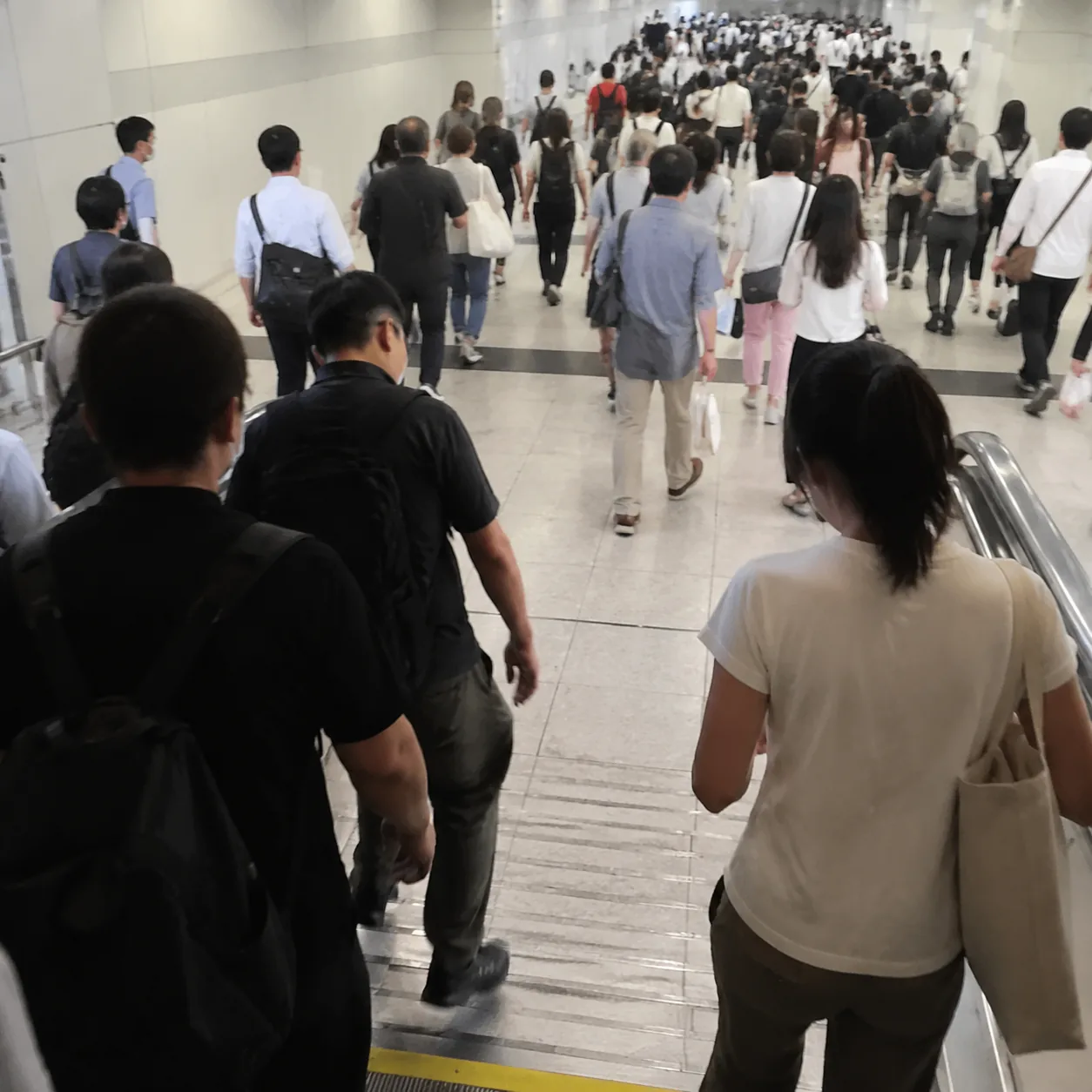 我在上海地铁早高峰里学会先站稳再看地图