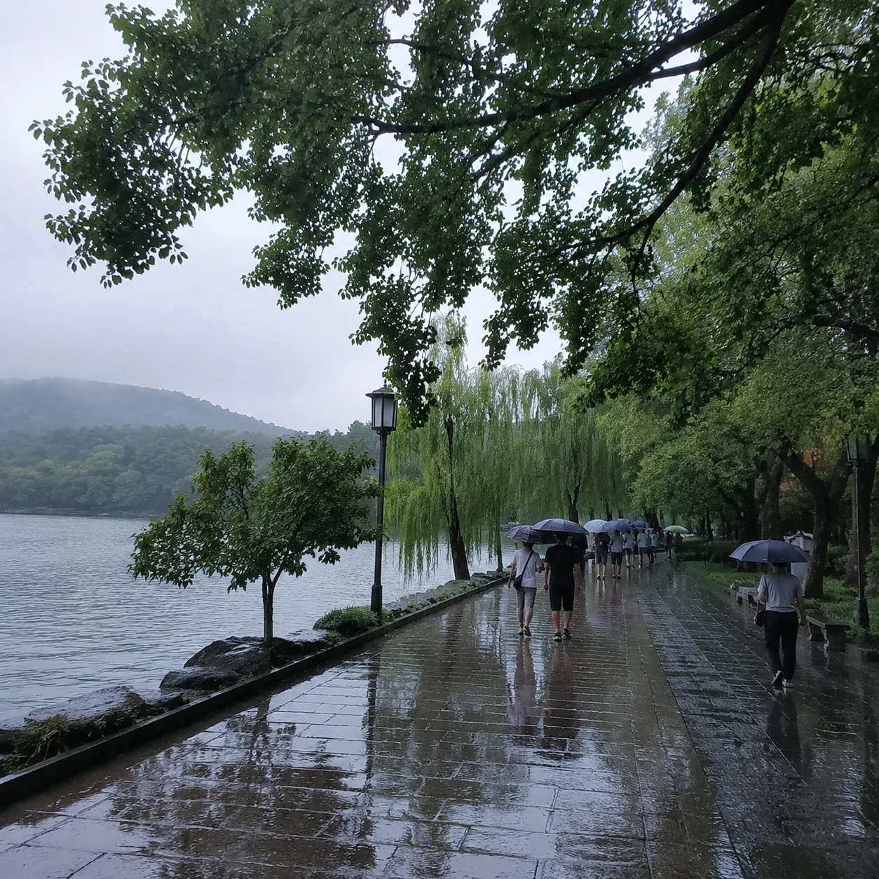 七月在杭州安安静静避雨，我终于不再把下雨当行程损失