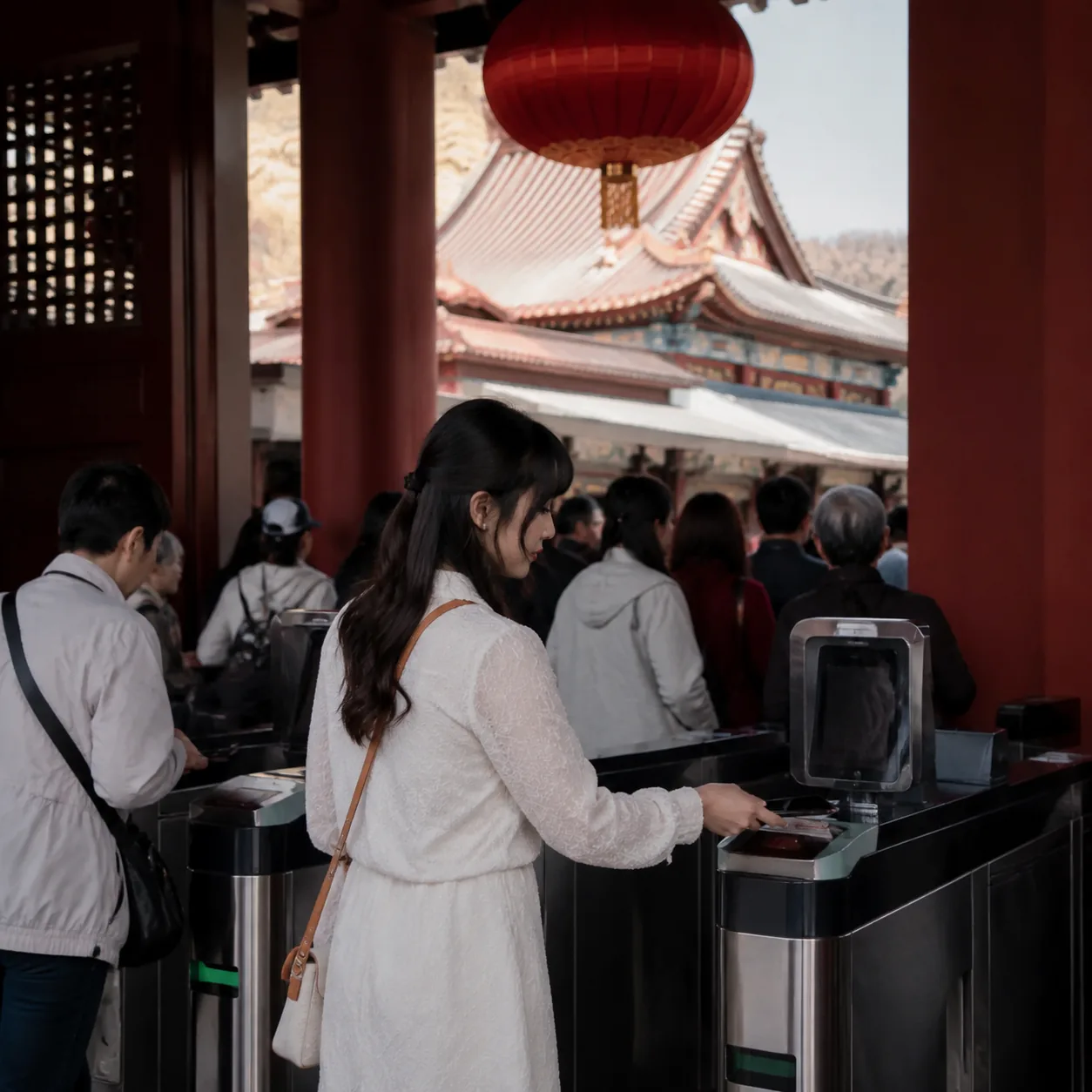洛阳牡丹花期里,我学会把热闹拆成几个小时