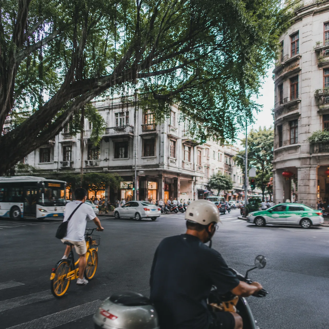 福州的榕树和路口一起告诉我,这座城是怎么往前走的