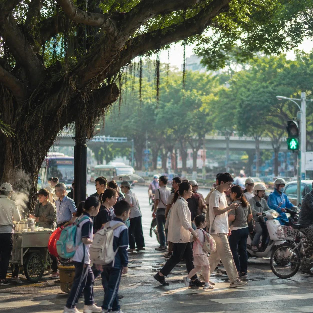 福州的榕树和路口一起告诉我,这座城是怎么往前走的