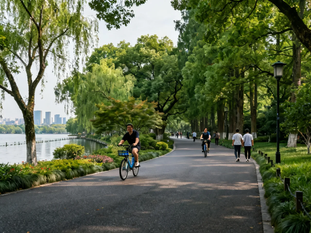 从灰色水泥到绿荫长廊:中国城市道路绿化的二十年蜕变
